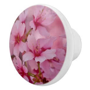 Bathed in Pink Japanese Cherry Blossoms Ceramic Knob