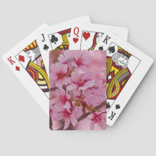 Bathed in Pink Japanese Cherry Blossoms Playing Cards