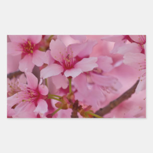 Bathed in Pink Japanese Cherry Blossoms Rectangular Sticker