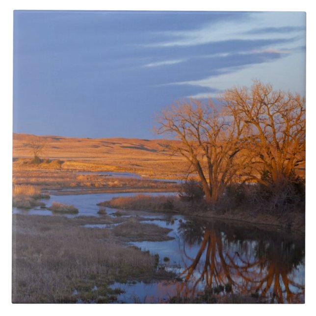 Bathed in sunset light the Calamus River Ceramic Tile (Front)