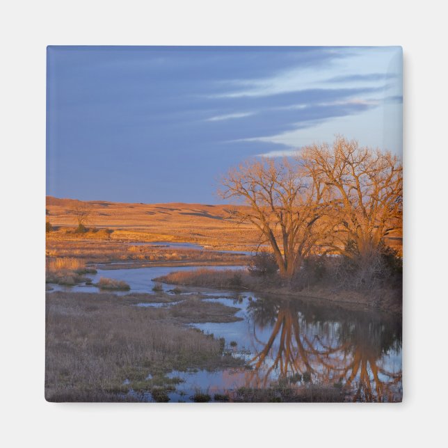 Bathed in sunset light the Calamus River Magnet (Front)