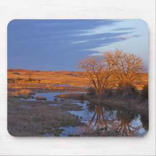 Bathed in sunset light the Calamus River Mouse Pad