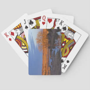 Bathed in sunset light the Calamus River Playing Cards