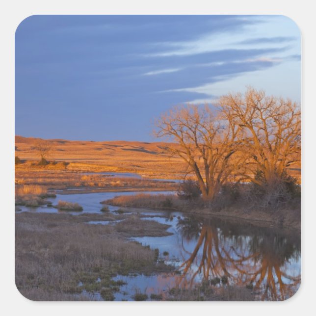 Bathed in sunset light the Calamus River Square Sticker (Front)