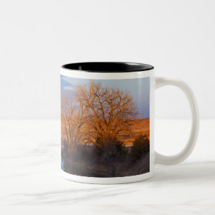 Bathed in sunset light the Calamus River Two-Tone Coffee Mug