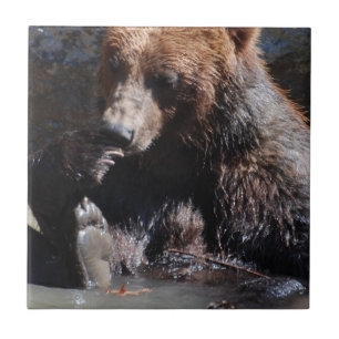 Bathing Bear Tile