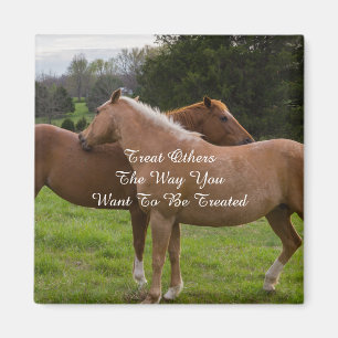 Bathing Beauties Treat Others Magnet