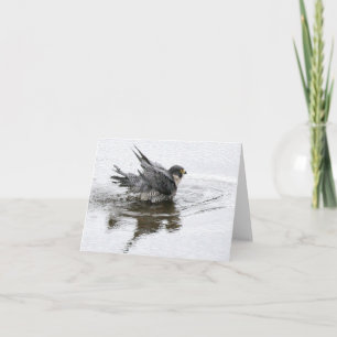 Bathing Beauty Note or Greeting Cards