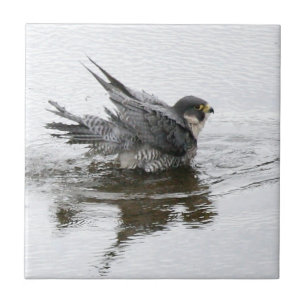 Bathing Beauty small Ceramic Tile