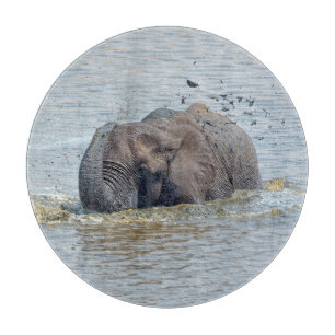 Bathing elephant cutting board