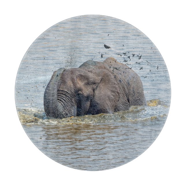 Bathing elephant cutting board (Front)