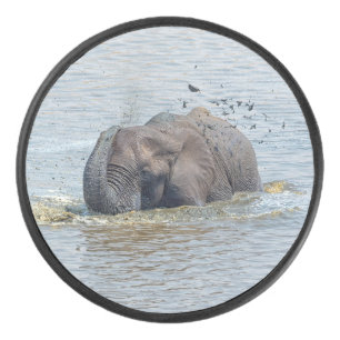 Bathing elephant hockey puck