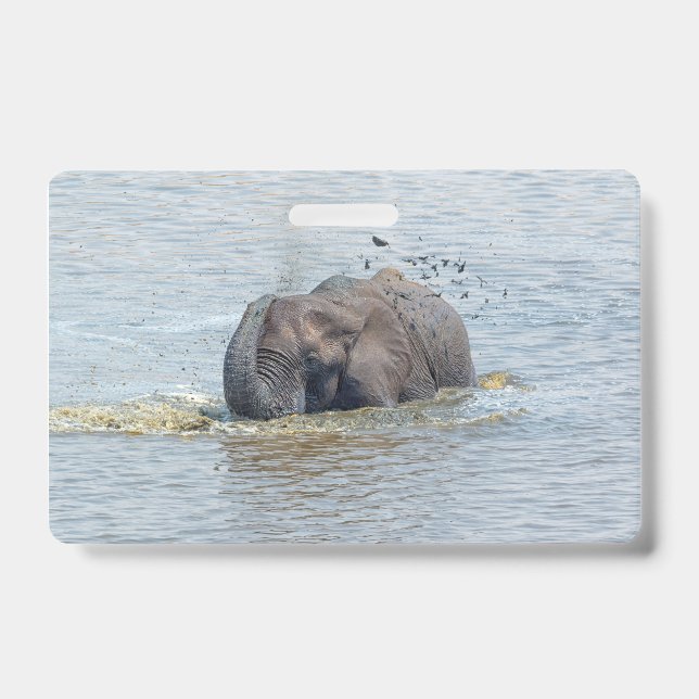 Bathing elephant ID badge (Front)