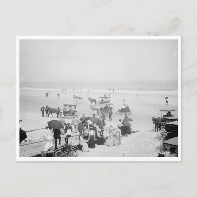 Bathing Hour On The Beach Postcard (Front)
