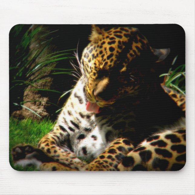 Bathing Leopard Mouse Pad (Front)