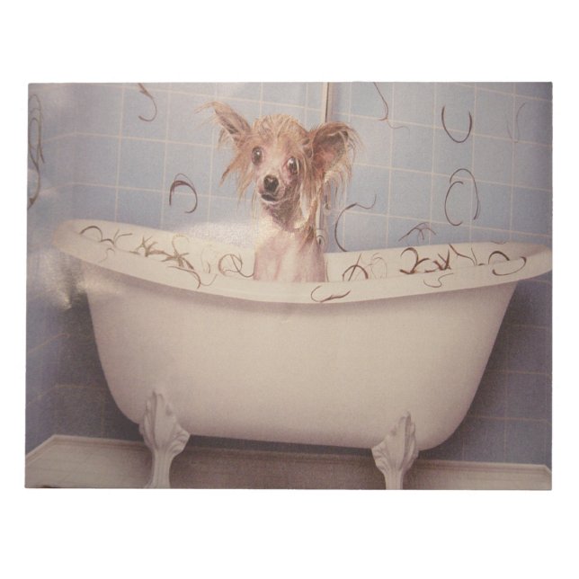 BATHING PUPPY NOTEPAD (Front)