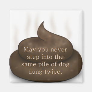 Bathroom Blessing: Don't Step in Poop Twice Magnet