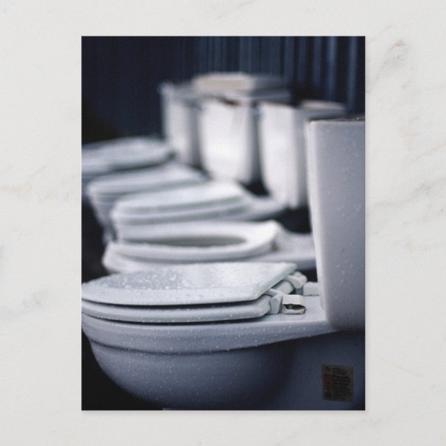 Bathroom Break!! Postcard (Front)