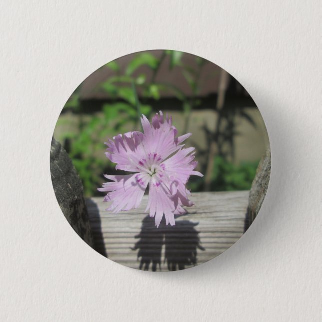 Baths Pink Dianthus on Fence 6 Cm Round Badge (Front)