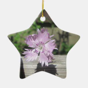 Baths Pink Dianthus on Fence Ceramic Ornament