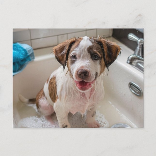 Bathtime Puppy in Sink Postcard (Front)