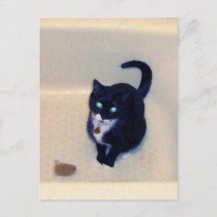 Bathtub Playtime Postcard
