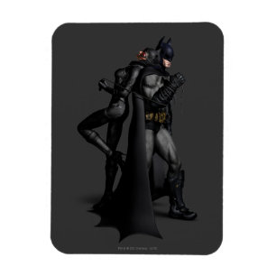 Batman Arkham City Batman and Catwoman Magnet