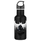 Batman Perched on a Pillar