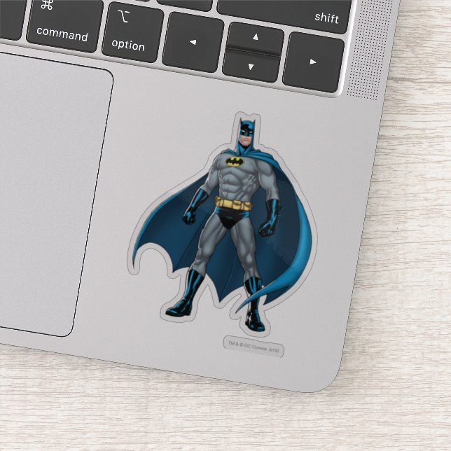 Batman Protector (Detail)