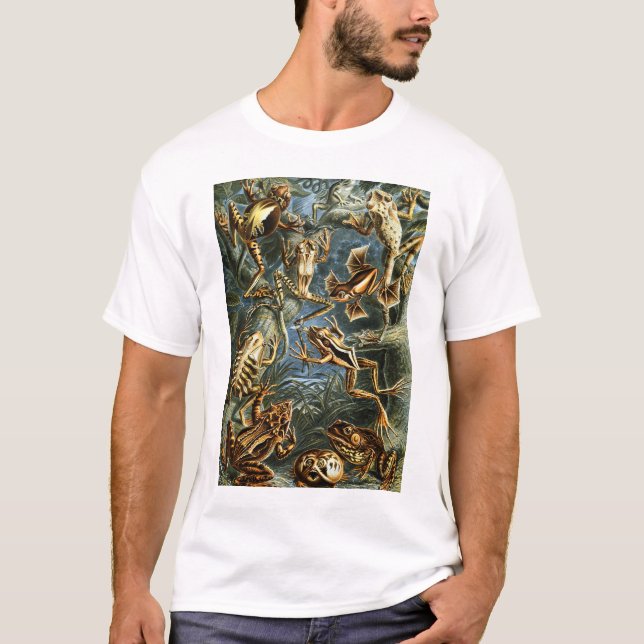Batrachia Frogs by Ernst Haeckel T-Shirt (Front)