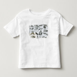 Batrachians and other Amphibia Toddler T-Shirt