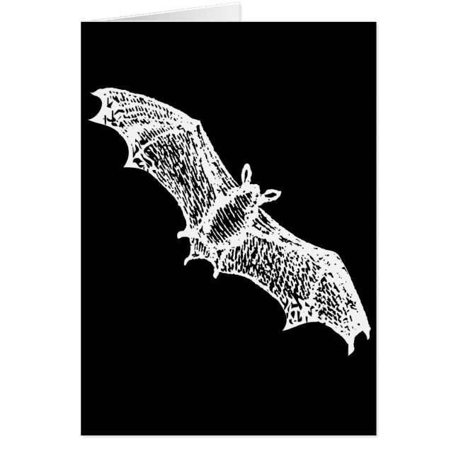 Bats (Front)