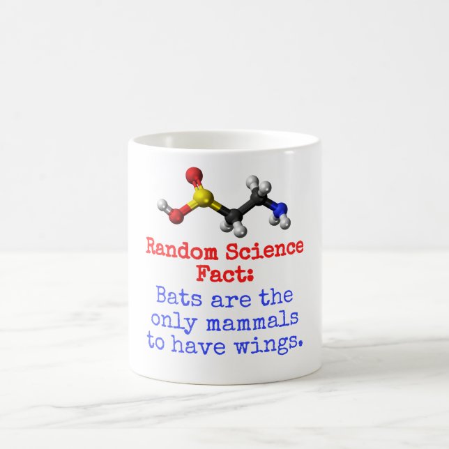 Bats Are The Only Mammals - Science Fact Coffee Mug (Center)