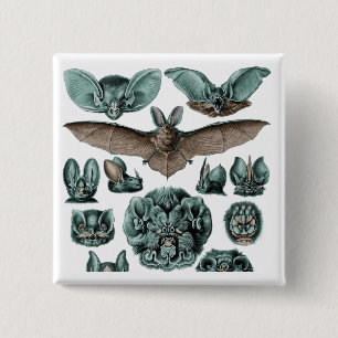 Bats by Ernst Haeckel 15 Cm Square Badge