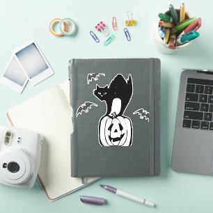 bats cat pumpkin halloween