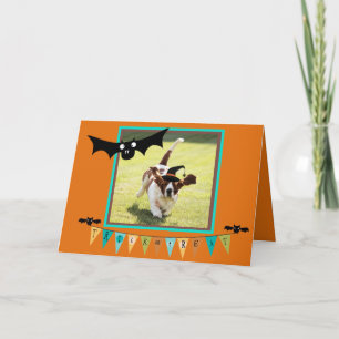 Bats & Witch Basset On Cute Halloween Card