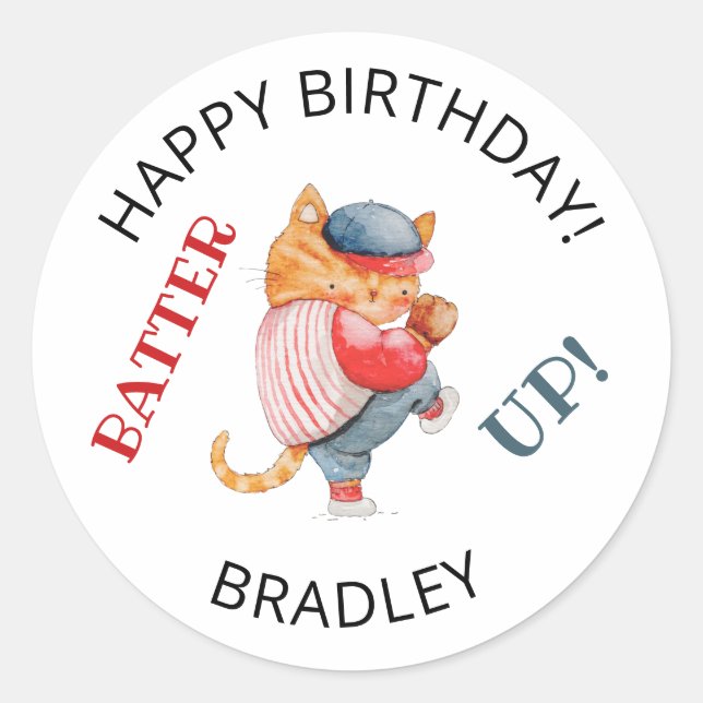 Batter Up! Baseball Sports Boys Birthday Party  Classic Round Sticker (Front)