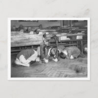 Battle Of Britain & The Blitz: #5 Air Raid Drill