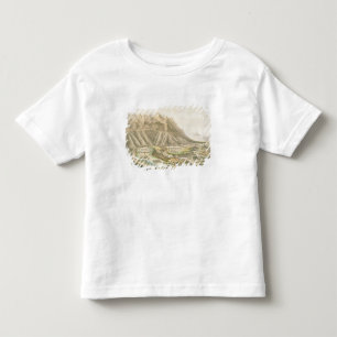 Battle of Buena Vista Toddler T-Shirt