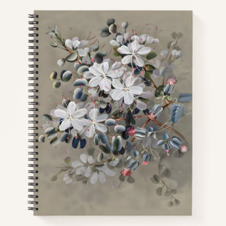 Bauhinia Flower Drawing, Gift Watercolor Notebook