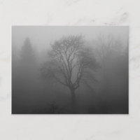 Baum im Nebel