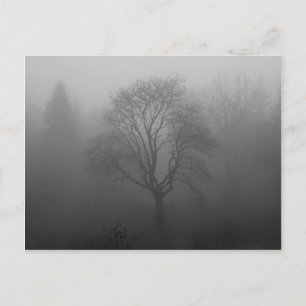 Baum im Nebel Postcard