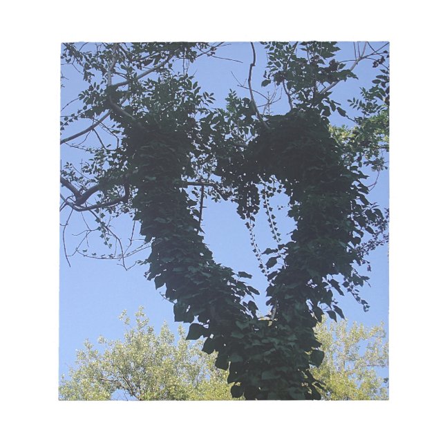 Baumherz Notepad (Front)