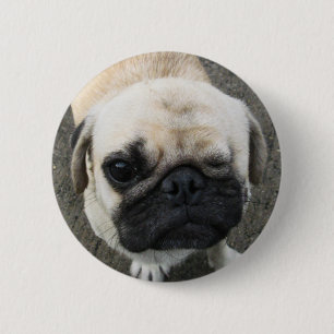 Bauwk ... Pug Dog ... Thailand 6 Cm Round Badge