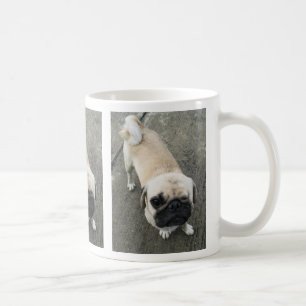 Bauwk ... Soi Dog, Thailand Coffee Mug