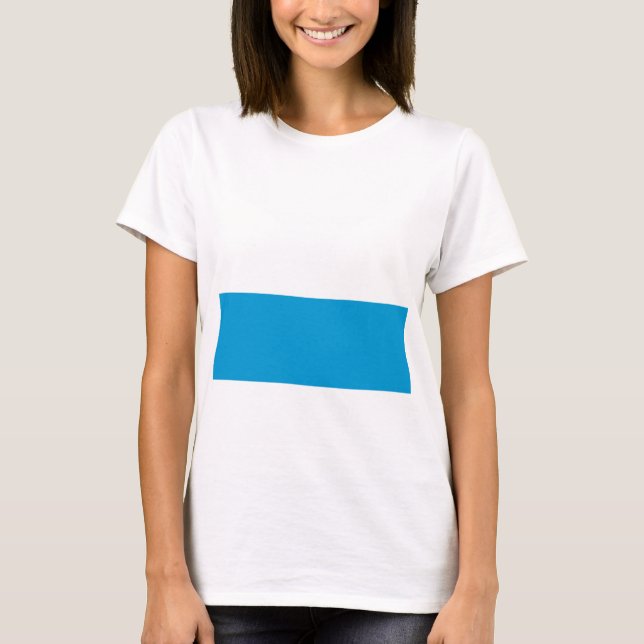 Bavarian Flag T-Shirt (Front)