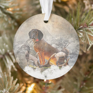 Bavarian Mountain Hound,  Art       Ornament