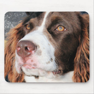 Baxter - English Springer Spaniel Photo-06 Mouse Pad