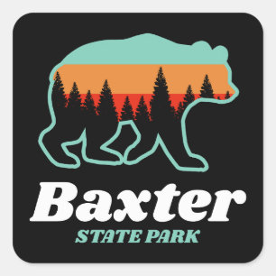 Baxter State Park New England Bear Retro Vintage Square Sticker