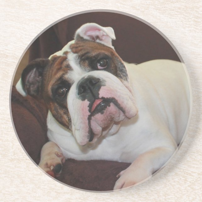 Baxter the Bully Coaster (Front)